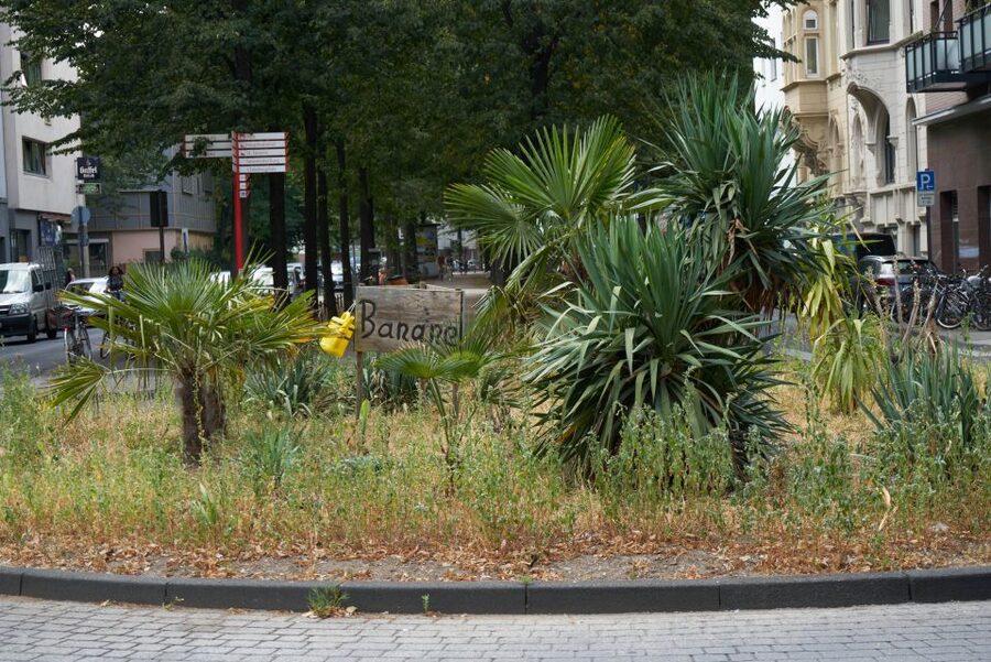 Cologne: Südstadt Guided Foodie Walking Tour - The best way to approach the three hours