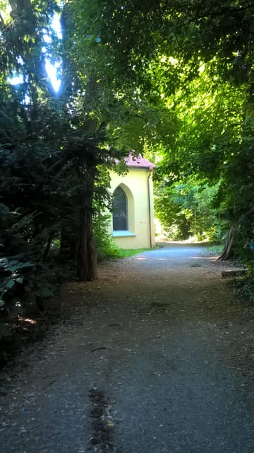 Constance: Private City Tour – The Mystical Constance - The guide and language choice
