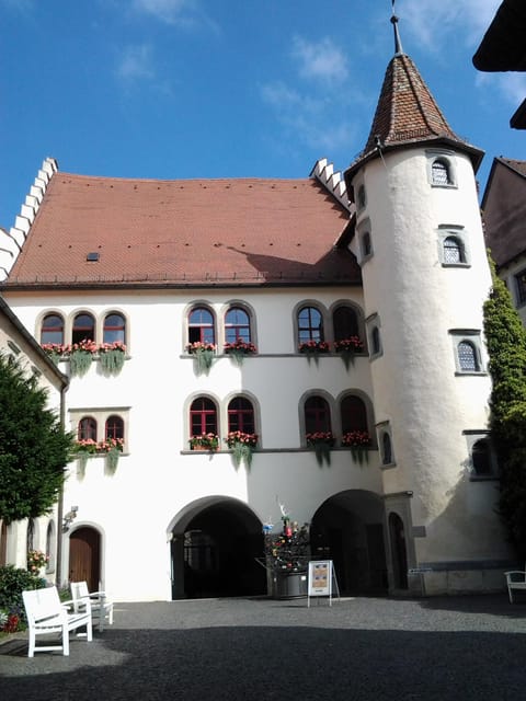 Constance: Public city tour with wine tasting - Stadtgarten and the Mediterranean side of Konstanz