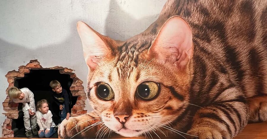 Discover Germany's most exciting photo illusion world! - How to get the best photos