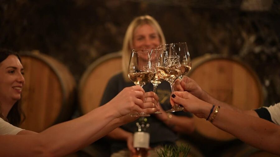 Discovery tour - cellar tour with wine tasting - The vinotheque and your chance to buy