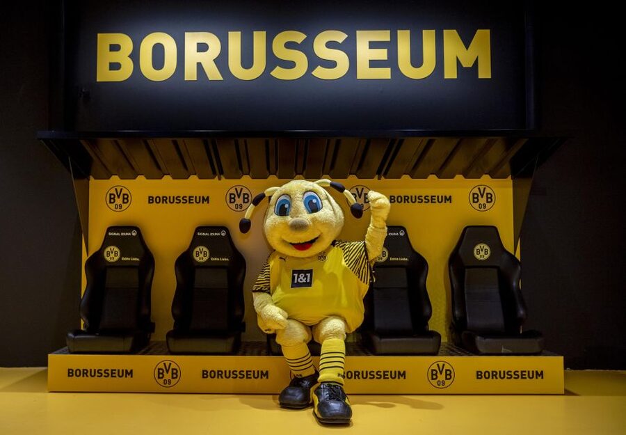 Dortmund: Borusseum Borussia Dortmund Museum Entry Ticket - Following the yellow thread through the permanent exhibition