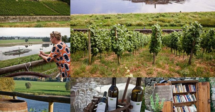 Dresden Bike Tour with Wine Tasting - A wine break at Albrechtsberg Palace
