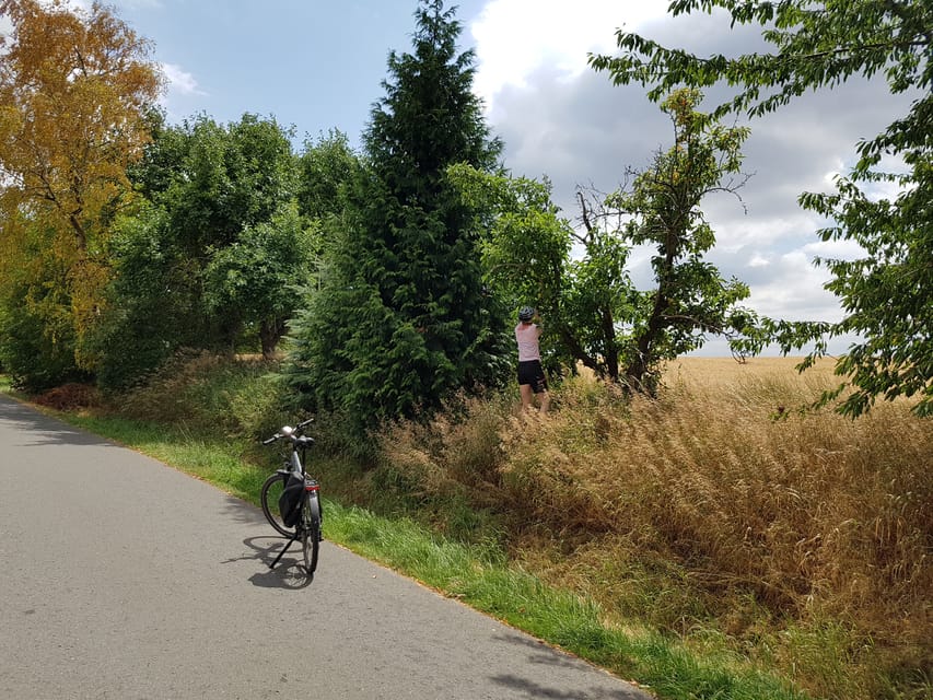 Dresden: E-Bike Tour and Dresden Heath Forest Trails - Reaching Dresden’s TV tower, the route’s high point