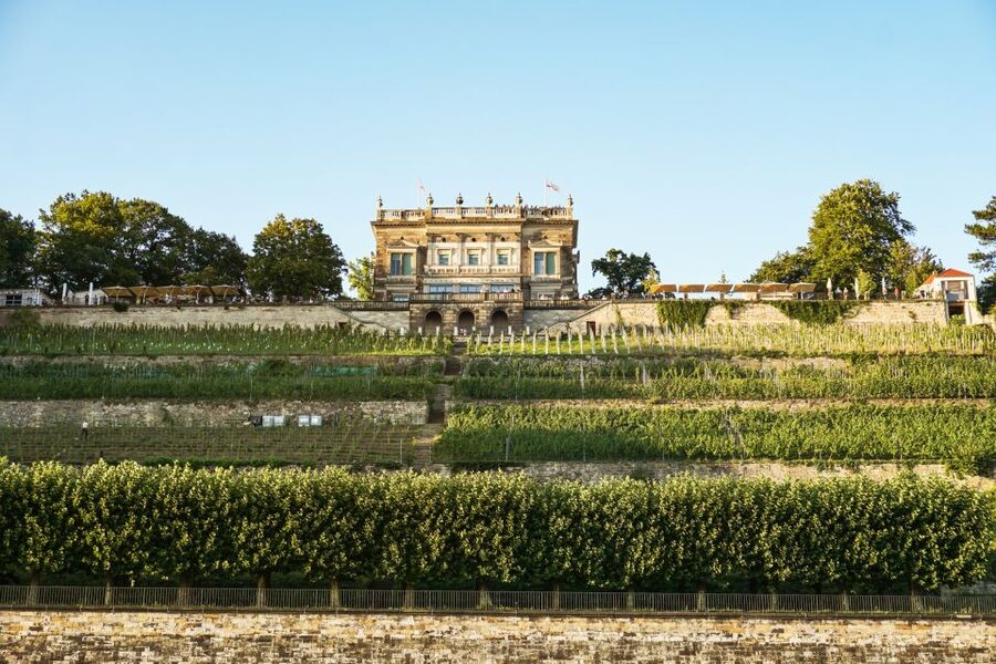 Dresden: Elbe River Cruise to Pillnitz Castle - The long, relaxed run to Pillnitz