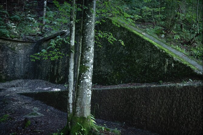 Eagle's Nest-Berchtesgaden-Obersalzberg Private Half Day WWII Historical Tour - Walking to the Berghof ruins