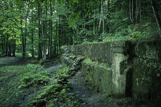 Eagle's Nest Berchtesgaden Private Full Day WWII Historical Tour - Starting in Berchtesgaden at 8:30 a.m.