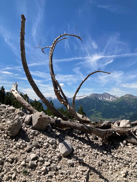 Ehrwald: Hiking Tour into breath taking Nature - My verdict on the Ehrwald hiking tour
