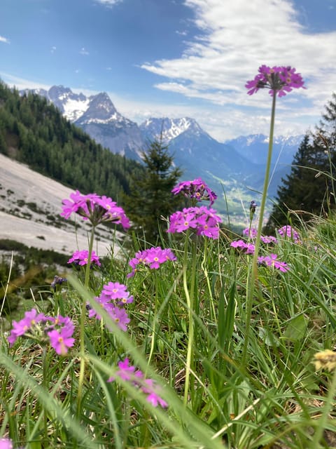 Ehrwald: Hiking Tour into breath taking Nature - The lake viewpoint and the best photo moment