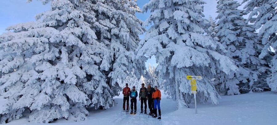 Ehrwald: Zugspitze Snowshoe Hiking Tour with Mountain Views - Starting at Ebne 5 near the Zugspitze