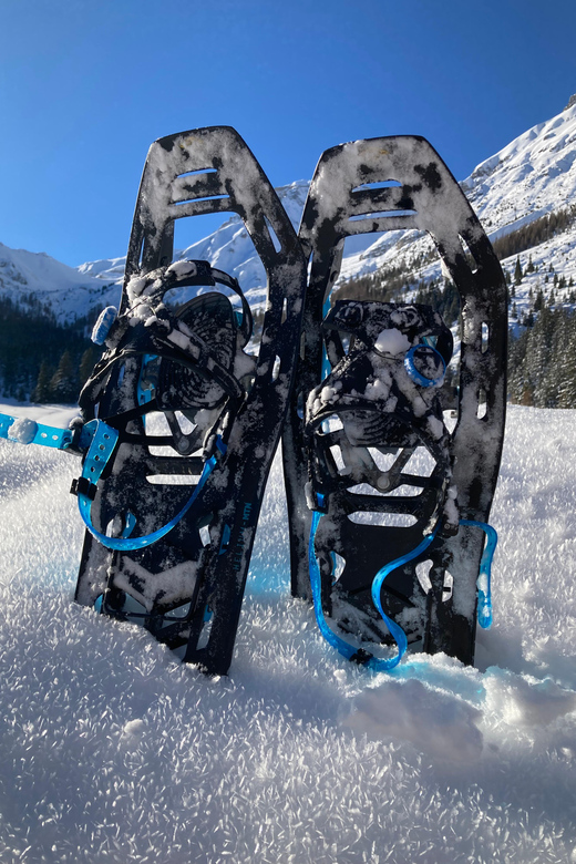 Ehrwald: Zugspitze Snowshoe Hiking Tour with Mountain Views - Mountain views earned on foot