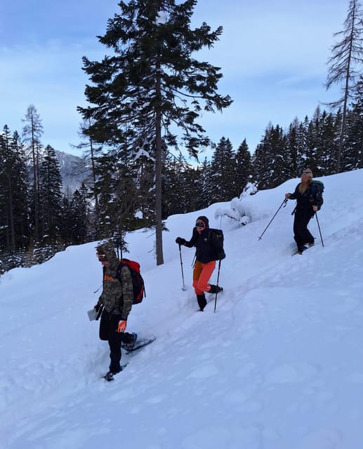 Ehrwald: Zugspitze Snowshoe Hiking Tour with Mountain Views - A family option with sensible limits