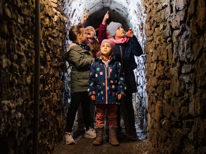 Erfurt: Guided Tour of The Petersberg Citadel - Booking flexibility and meeting details