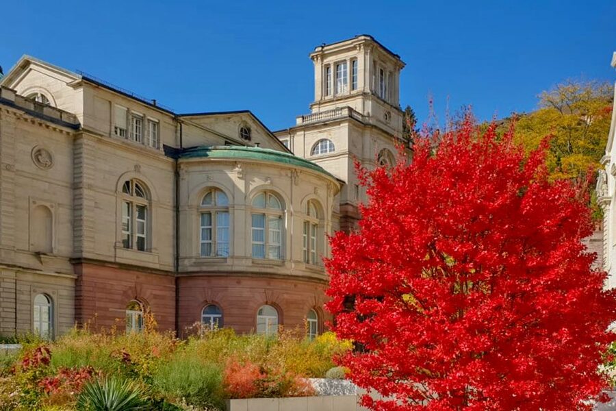 Frankfurt: Baden-Baden, Black Forest, Strasbourg Guided Tour - Key points at a glance