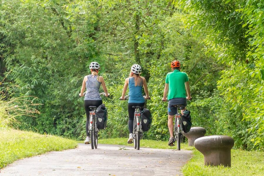Frankfurt: Full-Day Bicycle or E-Bike Rental - Comfort features that matter after several hours