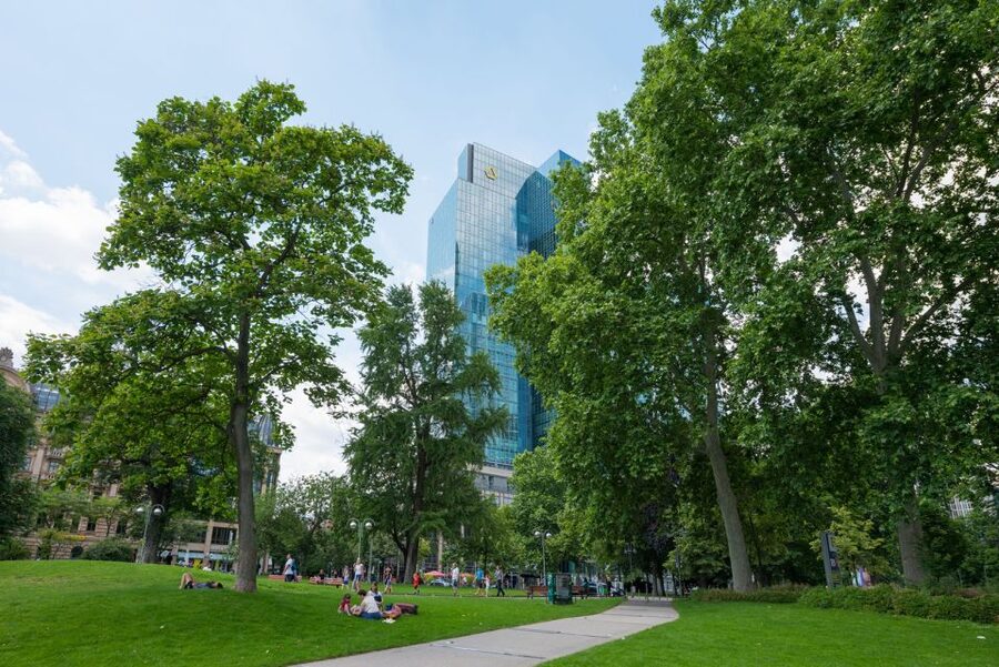 Frankfurt: Guided walk between palm trees and skyline - What the 1.5-hour format gives you