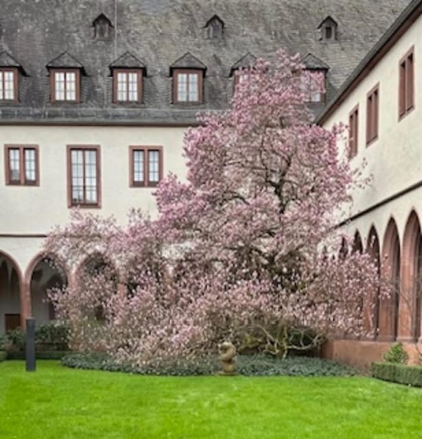 Frankfurt on Foot Daily Walking Tour in English - Crossing the Eisener Steg for the classic Frankfurt view