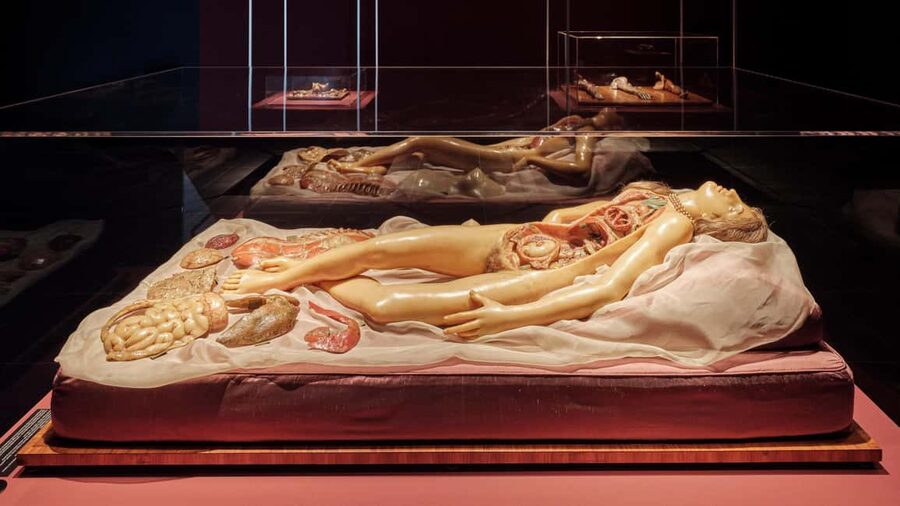 Frankfurter Kunstverein: Admission ticket - What the $11 admission buys you