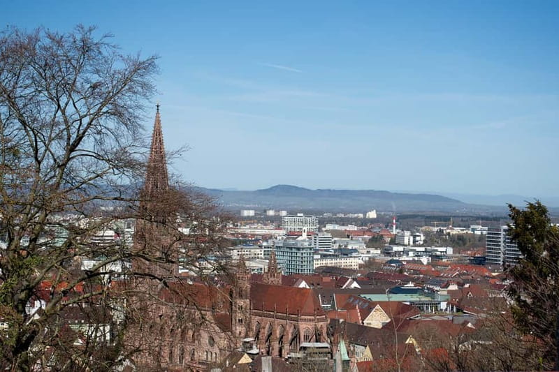 Freiburg City Tour: with visit of the Freiburg Minster - Münsterplatz and Freiburg Minster