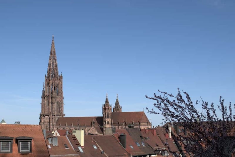 Freiburg City Tour: with visit of the Freiburg Minster - Altes Kaufhaus and the marks of trade