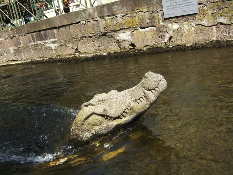 Freiburg: English Tours of the Old City - Key points to know before booking