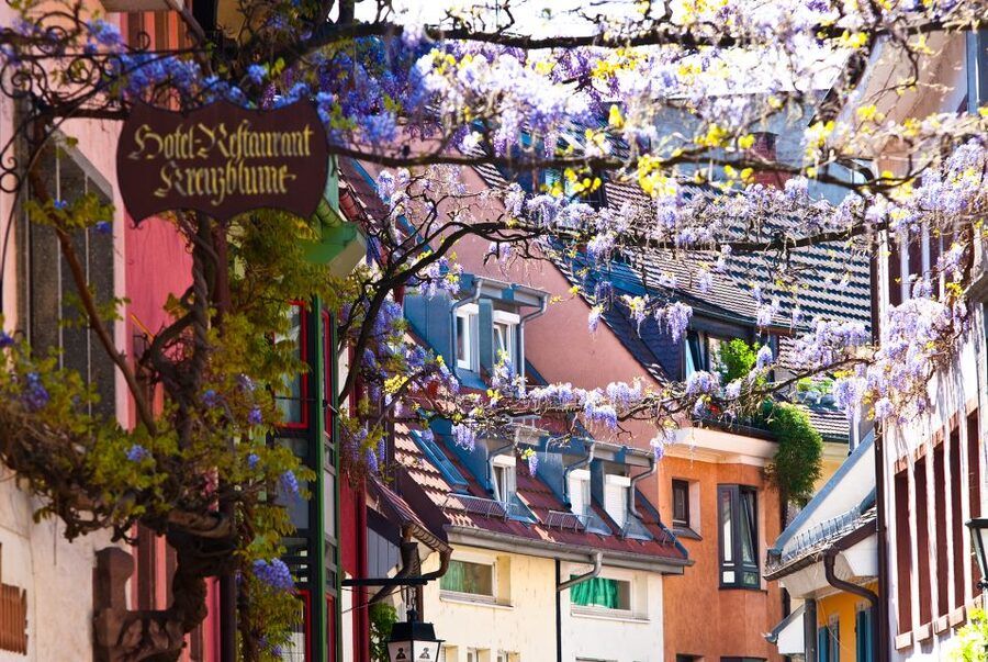 Freiburg: Gässle, Bächle and More City Tour - Why Freiburg’s Bächle and Gässle make a good walking tour