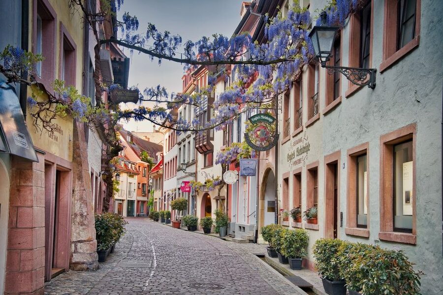 Freiburg: Gässle, Bächle and More City Tour - Meeting your guide at Münsterplatz