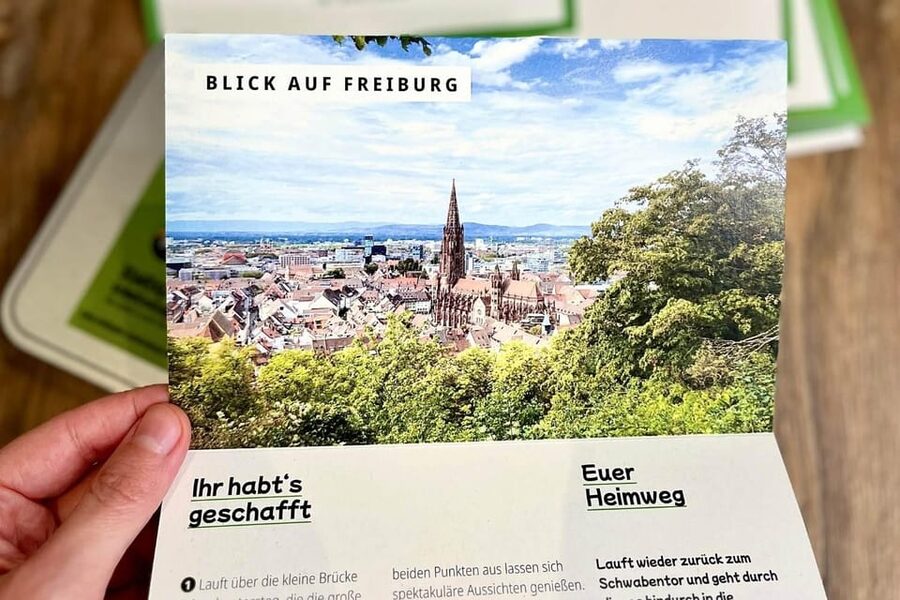 Freiburg im Breisgau: Scavenger Hunt Self-Guided Tour - What this tour does best