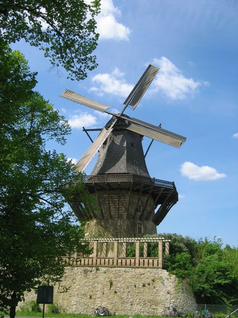 From Berlin: Gardens & Palaces of Potsdam Bike Tour - Sanssouci Park and the Hohenzollern court