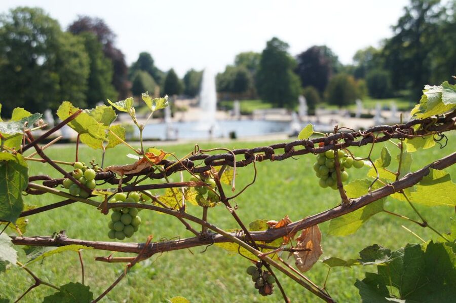 From Berlin: Potsdam Half-Day Tour in Spanish - The Dutch Quarter and Potsdam’s city character