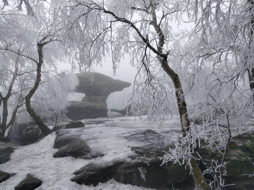 From Dresden: Bohemian & Saxon Switzerland Day Trip - Edmund’s Gorge and the boat ride