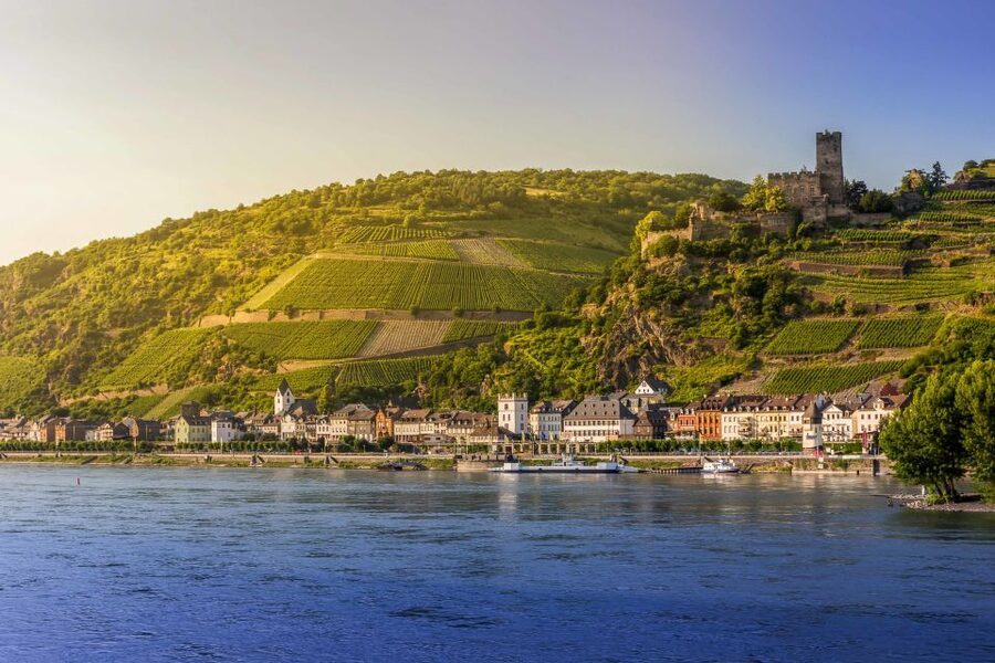 From Frankfurt: Rhine Valley Day Trip - Who should book this Rhine day trip?