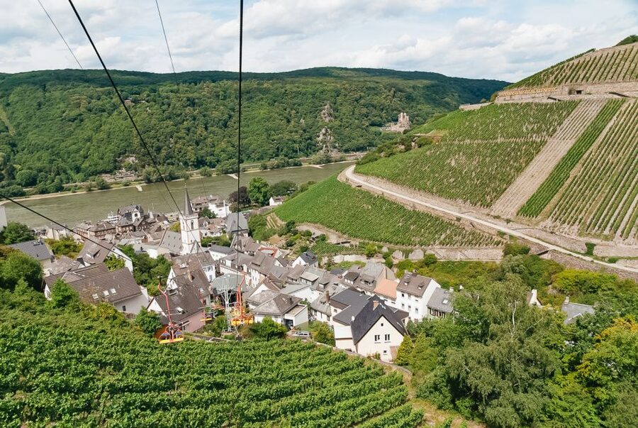 From Frankfurt: Rhine Valley Day Trip - Rüdesheim, the Niederwald Monument, and the first views