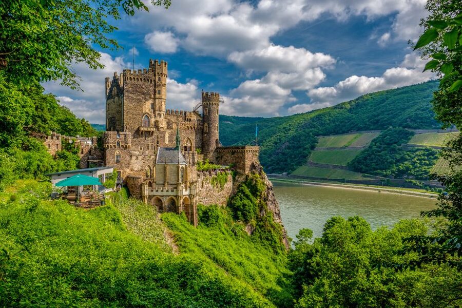 From Frankfurt: Rhine Valley Day Trip - Assmannshausen lunch beside the Rhine