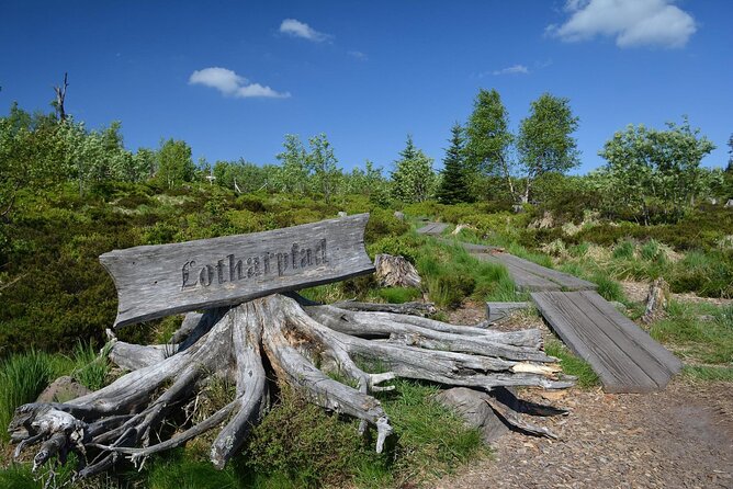 from Frankfurt - romantic Black Forest & brewery, private tour - Allerheiligen Waterfalls: the day’s most romantic walk