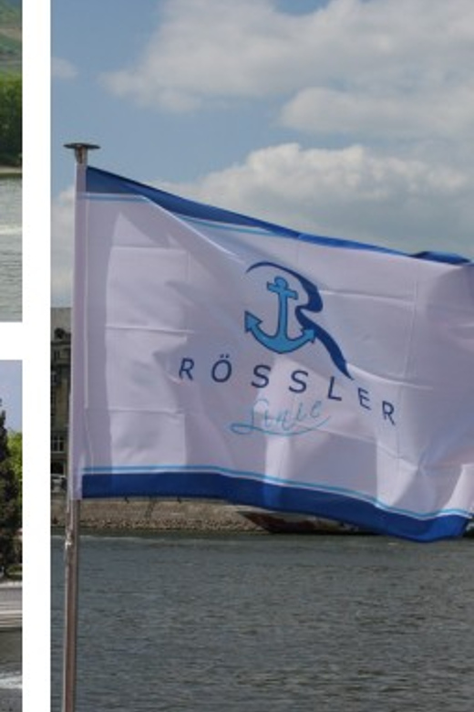 From Rüdesheim: 1.5-Hour Boat Cruise with Wine Tasting - Key points to know before you book