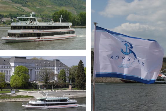 From Rüdesheim: 1.5-Hour Boat Cruise with Wine Tasting - Why this short Rhine cruise works