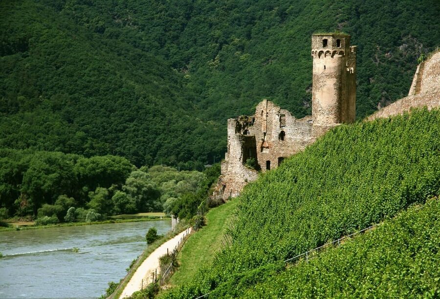 From Rüdesheim: 1.5-Hour Boat Cruise with Wine Tasting - A practical plan for enjoying the cruise