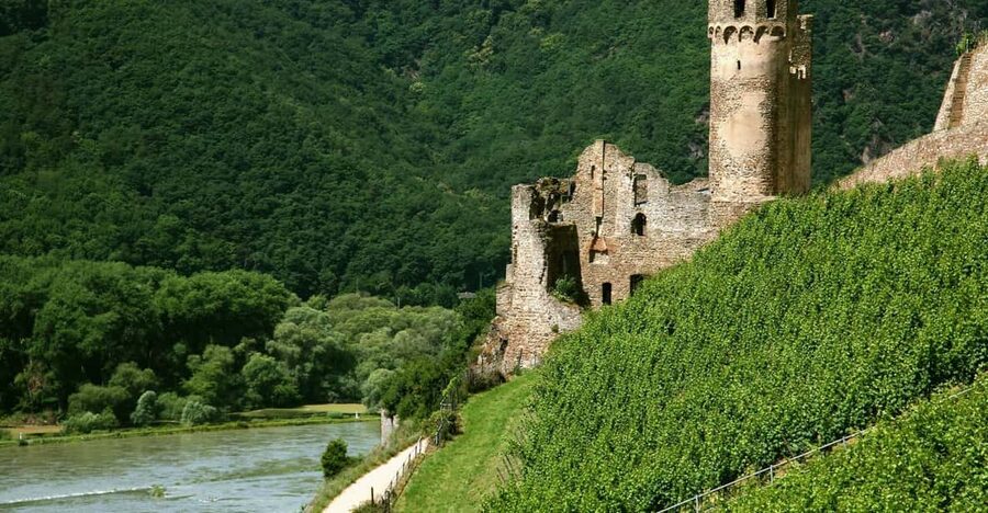 From Rüdesheim: 1.5-Hour Boat Cruise with Wine Tasting - Starting at Rüdesheim’s Bridge No. 12