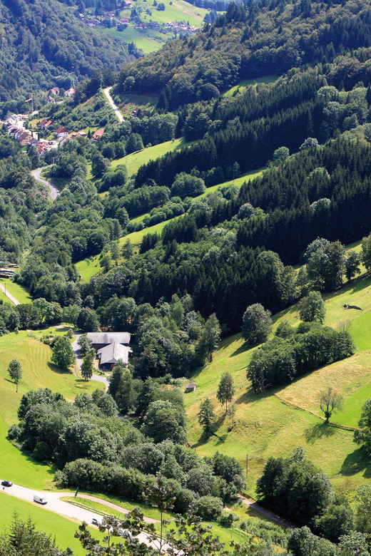 From Strasbourg: Black Forest and Baden Baden Day Trip - Key points to know before booking