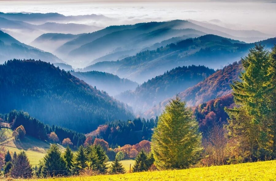 From Strasbourg: Black Forest and Baden Baden Day Trip - What the small-group van adds