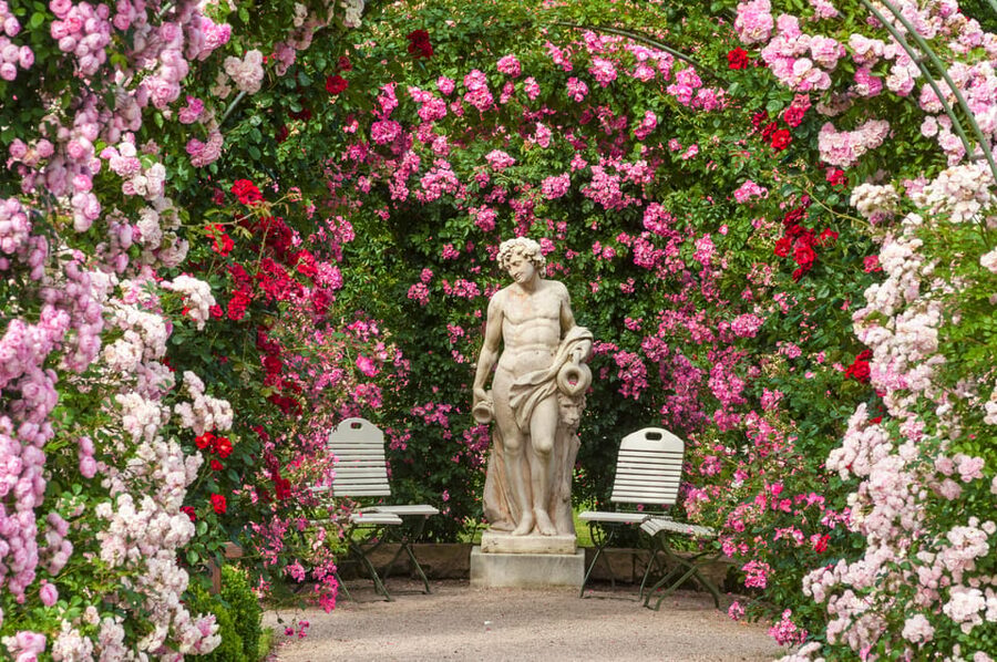 From Strasbourg: Black Forest and Baden Baden Day Trip - Is $253 a fair price?