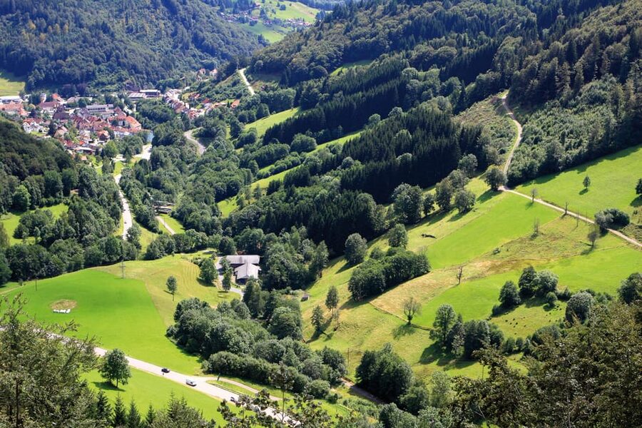 From Strasbourg: Black Forest and Baden Baden Day Trip - Who will enjoy this day most?