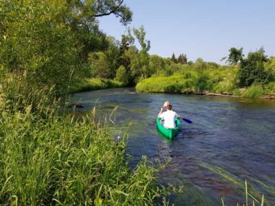 From Viechtach: Regen River Canoe Tour to Höllensteinsee