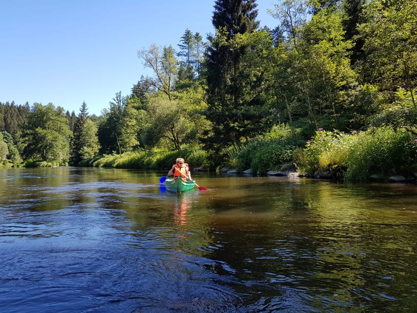 From Viechtach: Regen River Canoe Tour to Höllensteinsee - Should you book the Viechtach canoe tour?