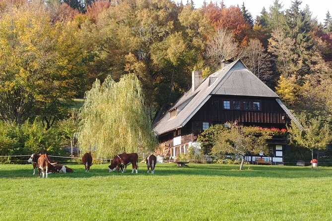 Guided tasting of Cider - What you taste during the two-hour visit
