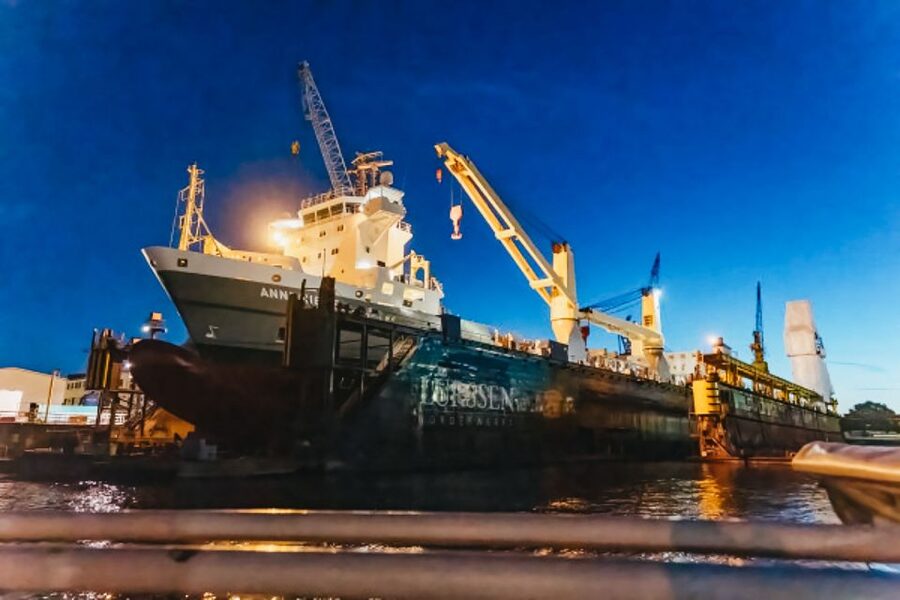 Hamburg: 1.5h Grand Harbor Evening Lights Cruise - Who will enjoy this Hamburg harbor cruise?