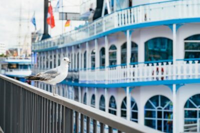 1-Hour Harbor Sightseeing Cruise with HafenCity