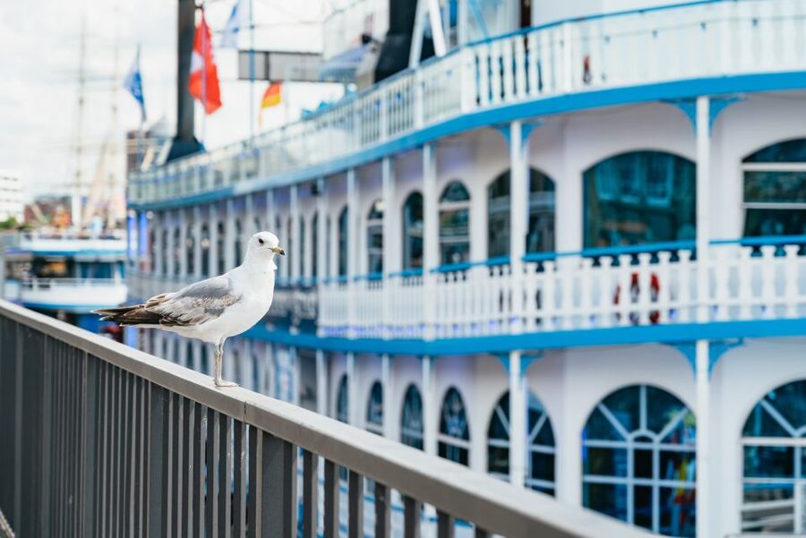 Hamburg: 1-Hour Harbor Sightseeing Cruise with HafenCity - St. Pauli Piers and the first harbor views