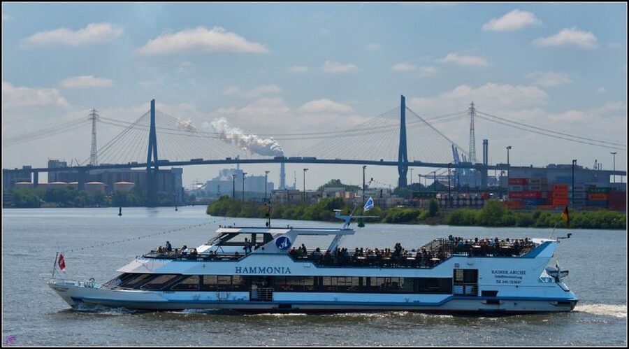 Hamburg: 2-Hour Sightseeing Cruise to Blankenese - Blankenese from the water